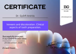 04-veneers1